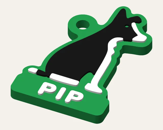 Green keychain shaped like a sitting border collie with real black and white markings, and the name PIP.